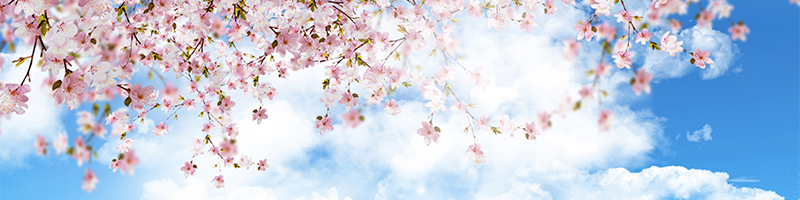 禮儀百科 葬儀社 禮儀公司 殯儀館 馬祖生命禮儀 桃園生命禮儀